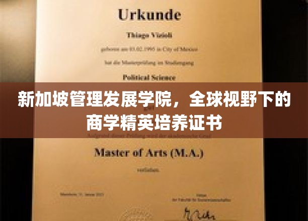 新加坡管理发展学院，全球视野下的商学精英培养证书