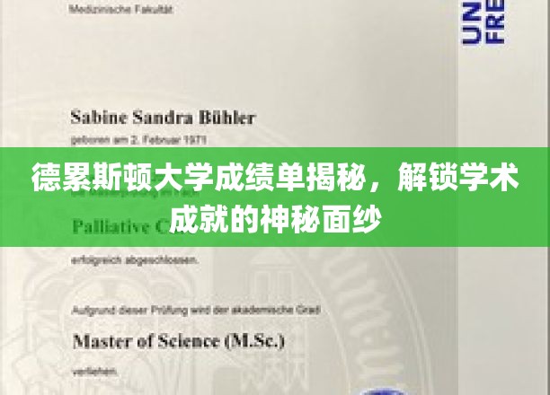 德累斯顿大学成绩单揭秘，揭开学术成就的神秘面纱