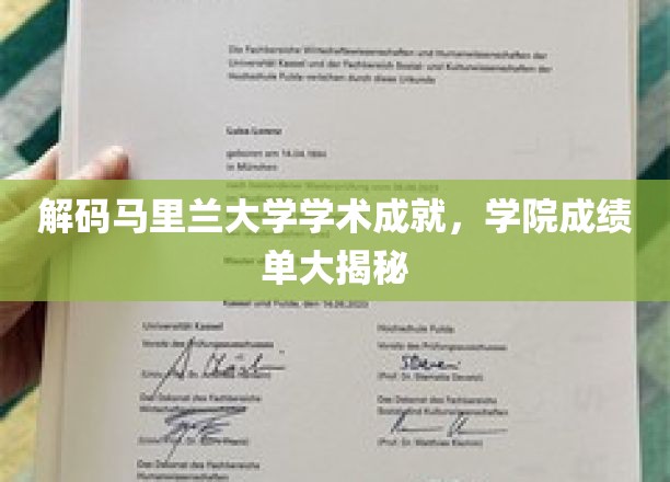 马里兰大学学术宝藏大揭秘，学院成绩单背后的故事