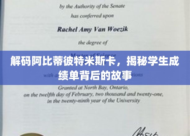 解码阿比蒂彼特米斯卡，揭秘学生成绩单背后的故事