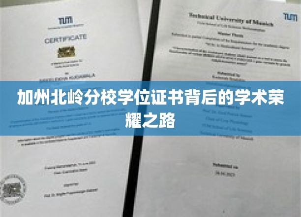 探寻加州北岭分校学子荣耀学位的卓越轨迹
