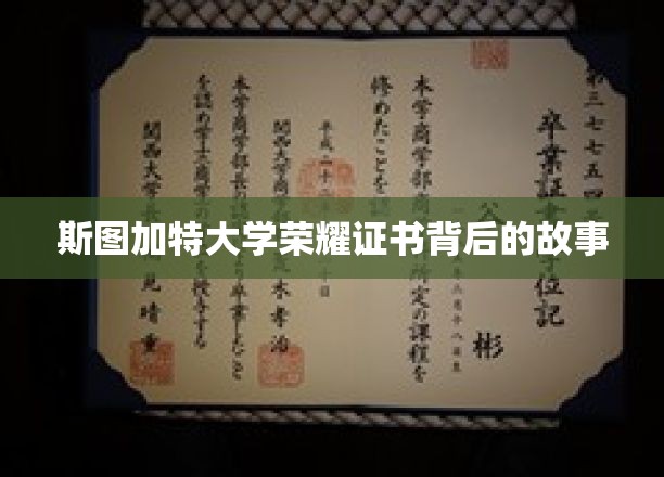 探寻斯图加特大学荣耀证书背后的传奇篇章
