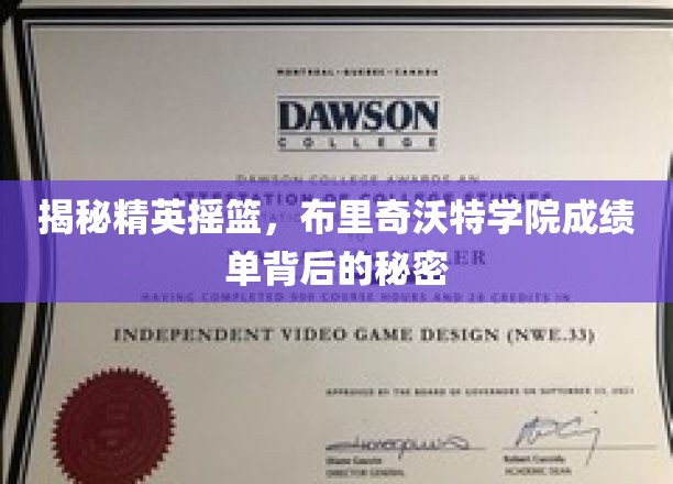 揭秘精英摇篮，布里奇沃特学院成绩单背后的秘密