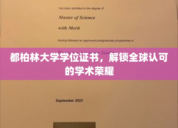 都柏林大学学位，开启国际认可的学术巅峰之旅