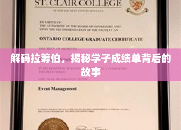 揭开拉筹伯学子卓越成绩背后的成长秘籍
