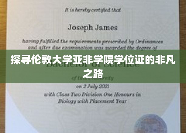 探寻伦敦大学亚非学院学位证的非凡之旅