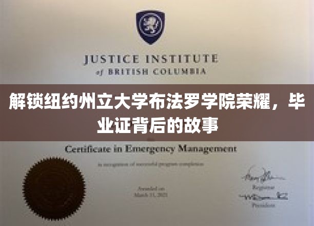 探寻布法罗学院毕业证背后的辉煌传奇