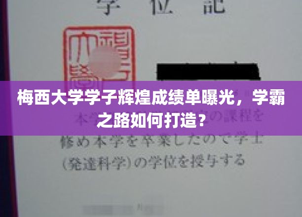 梅西学霸养成记，揭秘如何铸就非凡成绩单