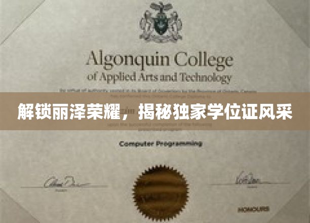 丽泽风采独领风骚，揭秘学位证背后的传奇故事