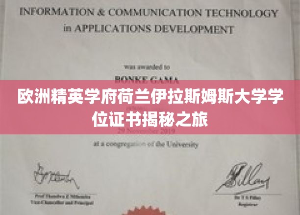 解码荷兰伊拉斯姆斯大学，精英学位背后的非凡旅程