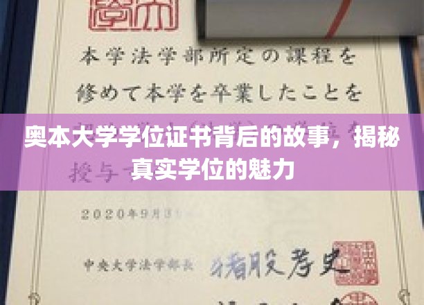 奥本荣耀，揭开证书背后的奥本传奇与学位真谛