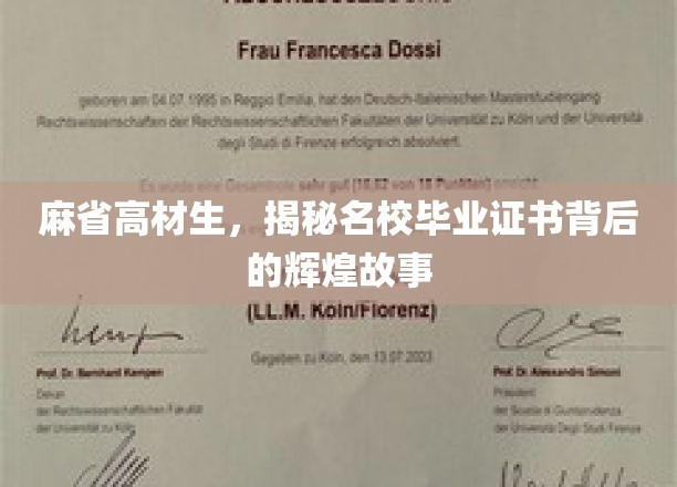 名校光环背后的传奇，麻省高材生的非凡求学之旅