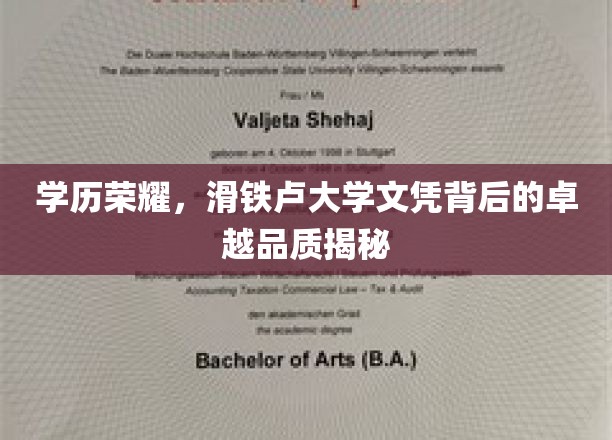 滑铁卢荣耀，探究名校文凭背后的非凡素养与挑战
