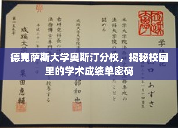 解码德克萨斯大学奥斯汀分校，校园成绩单的神秘世界