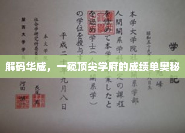揭开华威大学卓越成就的神秘面纱