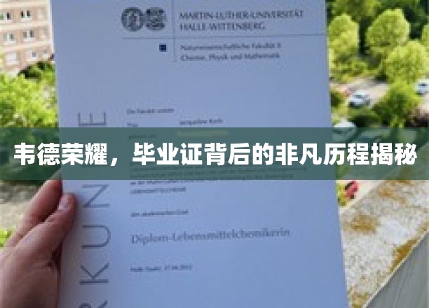 韦德荣耀，毕业证背后的非凡历程揭秘