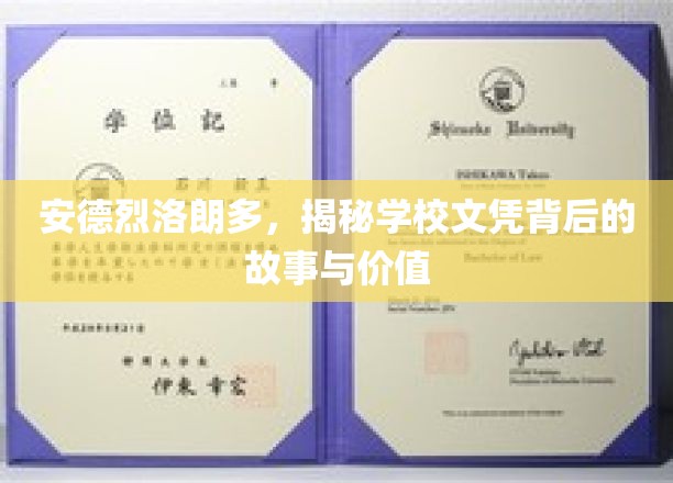 安德烈洛朗多，揭秘学校文凭背后的故事与价值