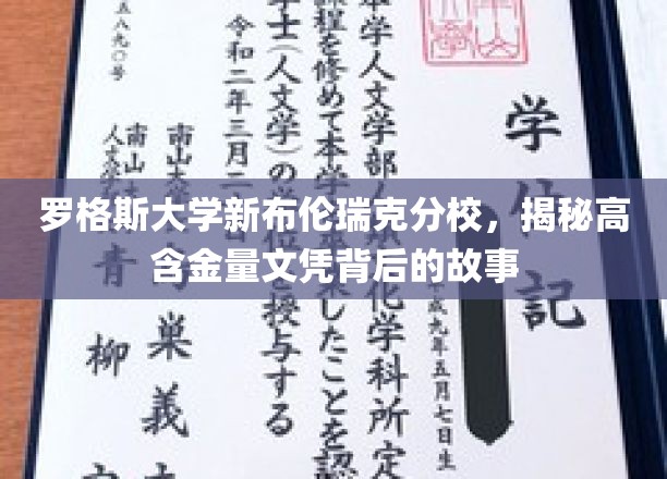 探寻罗格斯大学新布伦瑞克分校，高含金量文凭的神秘面纱