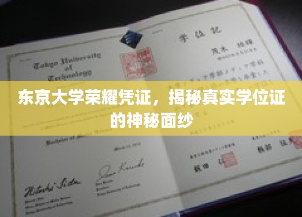 东京大学荣耀凭证，揭秘真实学位证的神秘面纱