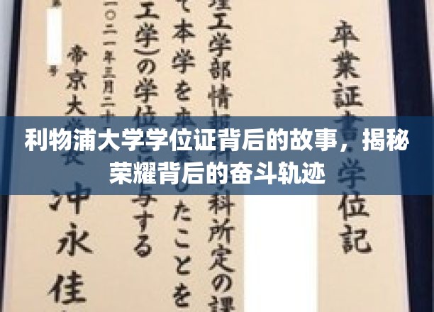 利物浦荣耀之路，揭秘学位证背后的励志征程