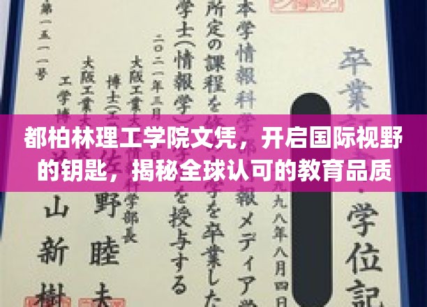 解锁全球通行证，都柏林理工学院文凭，拓展国际视野的秘密武器