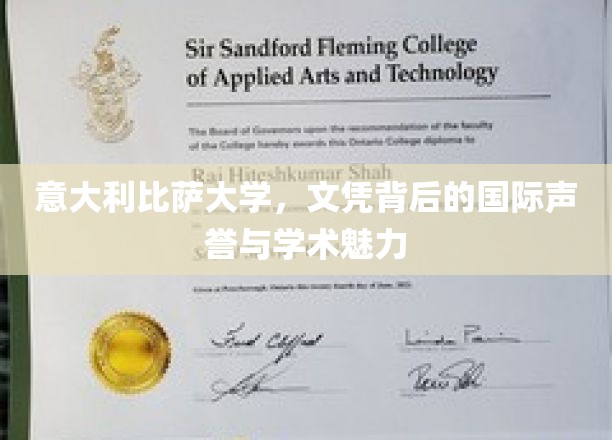 探寻比萨大学，国际认可下的学术之光与文凭价值