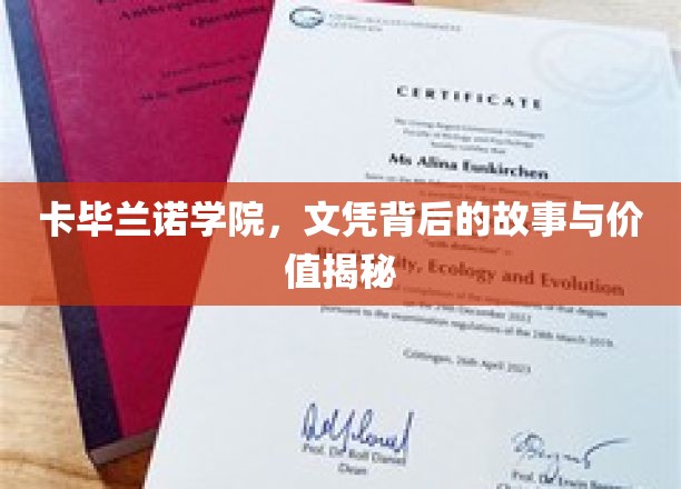 解码卡毕兰诺学院，文凭背后的传奇与价值洞察
