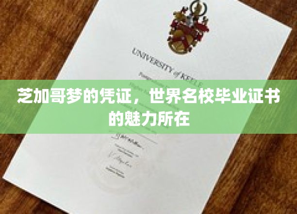 名校光环，芝加哥梦的通行证，揭秘毕业证书的全球影响力