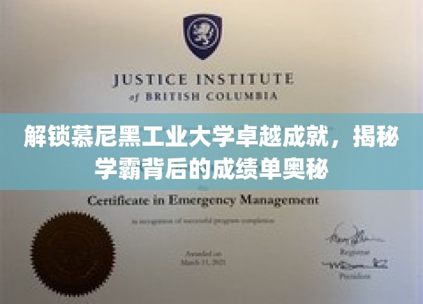 解锁慕尼黑工业大学卓越成就，揭秘学霸背后的成绩单奥秘