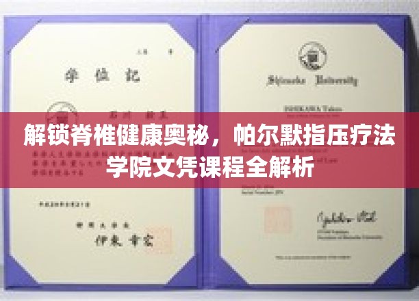 帕尔默指压奥秘探秘，脊椎健康新篇章，文凭课程深度解读