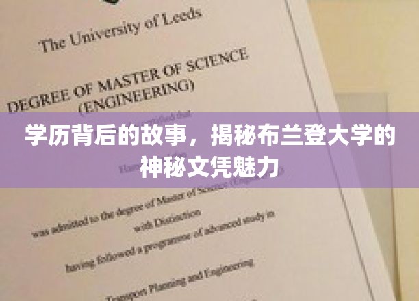 布兰登大学文凭之谜，揭开学历背后的非凡魅力