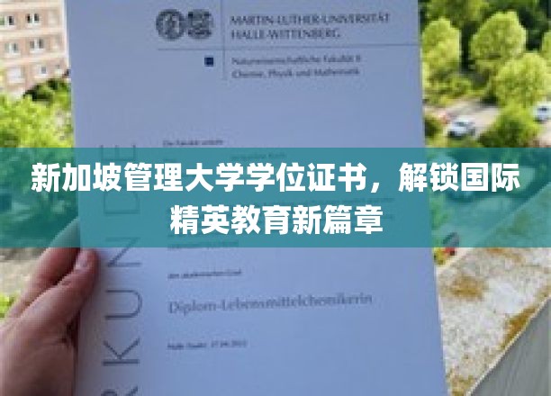 新加坡管理大学学位证书，引领全球教育新风尚