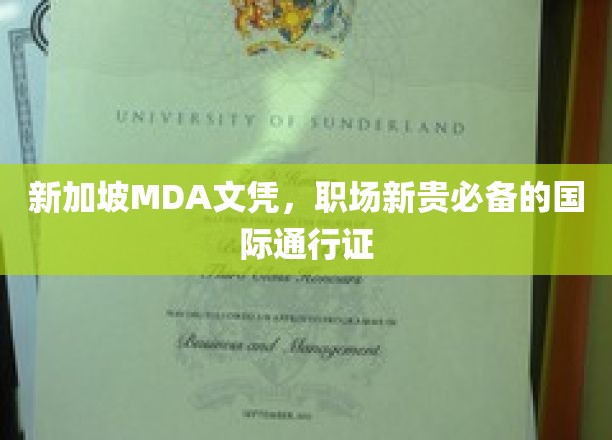新加坡MDA文凭，开启国际化职场大门的黄金钥匙