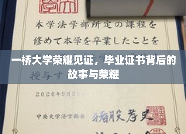 一桥大学荣耀之路，毕业证书背后的传奇与辉煌