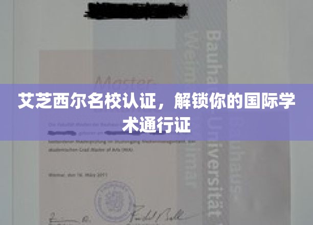艾芝西尔名校护航，成就全球学术精英之路