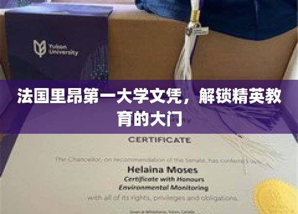 里昂一大学位，开启精英教育新篇章