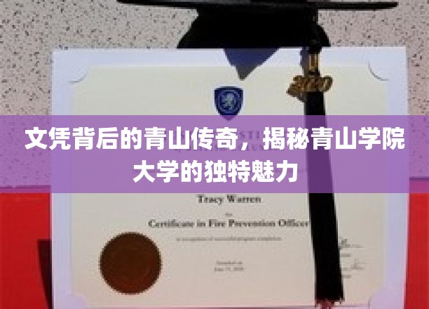 文凭背后的秘境，探秘青山学院大学的非凡风采