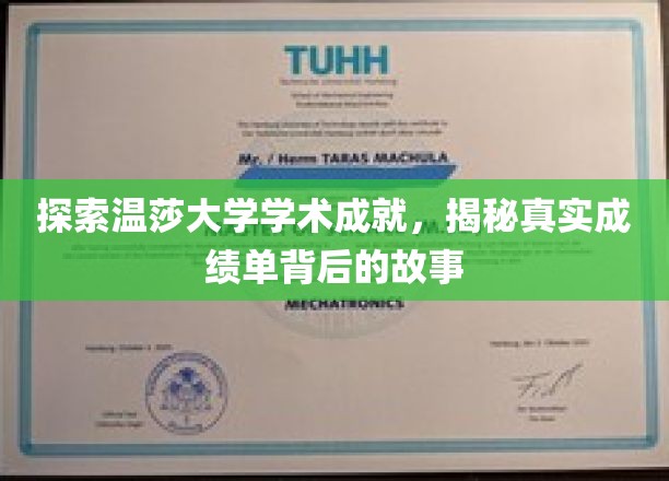探索温莎大学学术成就，揭秘真实成绩单背后的故事