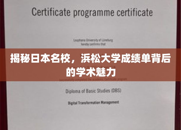 探寻日本名校，浜松大学成绩单中的学术风采