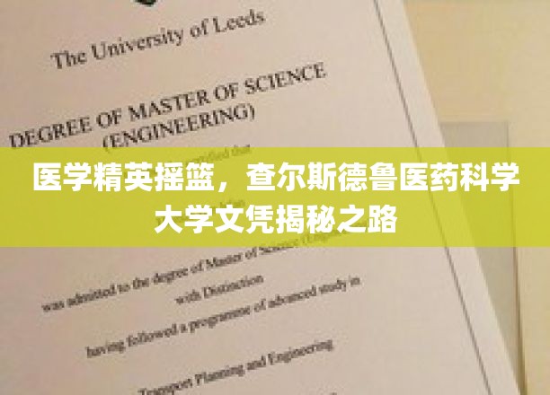 医学精英摇篮，查尔斯德鲁医药科学大学文凭揭秘之路
