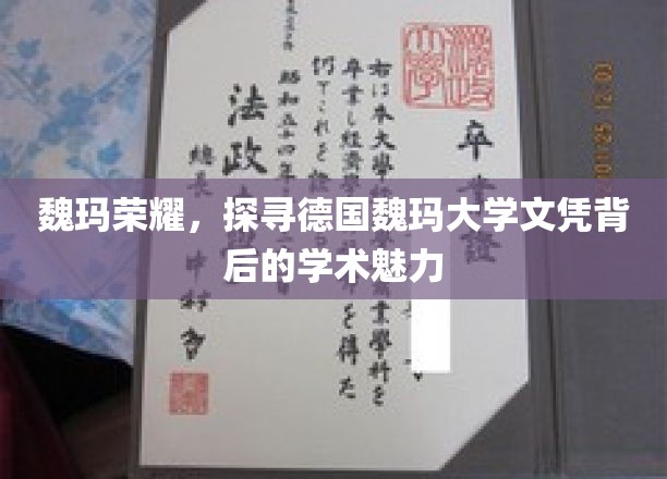 解码魏玛传奇，揭秘德国魏玛大学文凭的学术之光