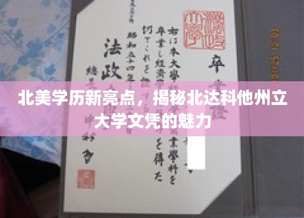 北美学历新亮点，揭秘北达科他州立大学文凭的魅力