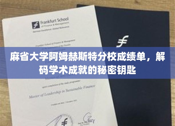 麻省大学阿姆赫斯特分校成绩单，揭秘学术成就的秘密钥匙