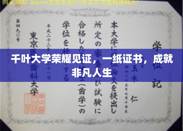 千叶大学荣耀加冕，证书铸就非凡人生里程碑