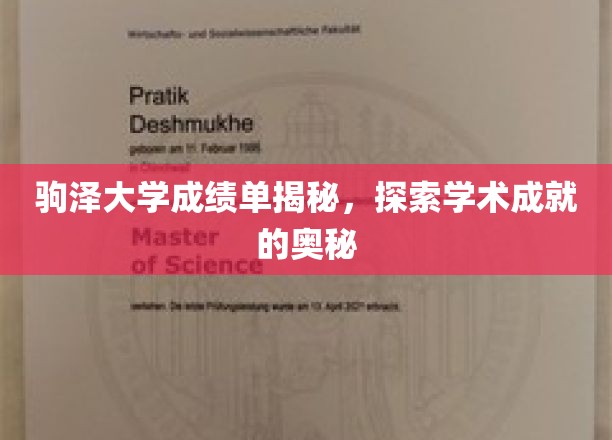 驹泽大学成绩单背后，探寻学子学术辉煌的秘密