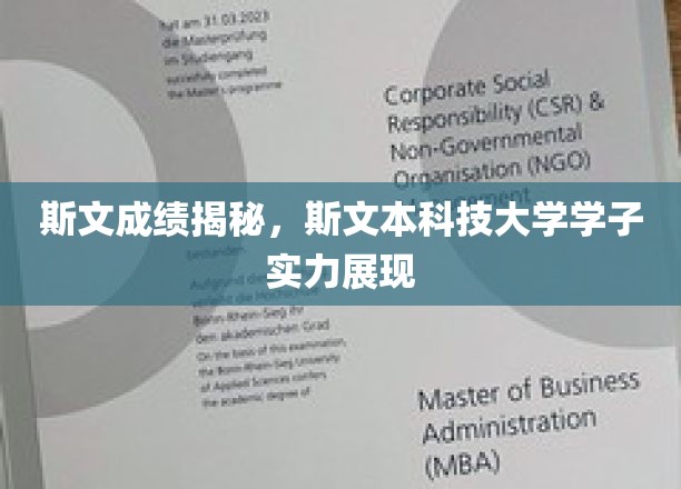 斯文本大学精英风采，揭秘学子卓越成绩背后的实力底蕴