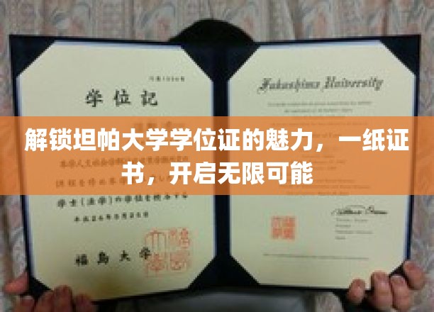 坦帕大学学位证，开启未来大门的钥匙
