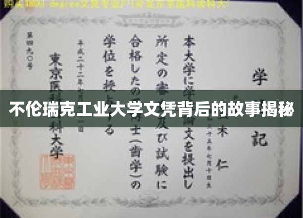 不伦瑞克工业大学文凭背后的故事揭秘