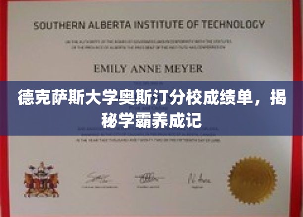 德克萨斯大学奥斯汀分校成绩单，揭秘学霸养成记