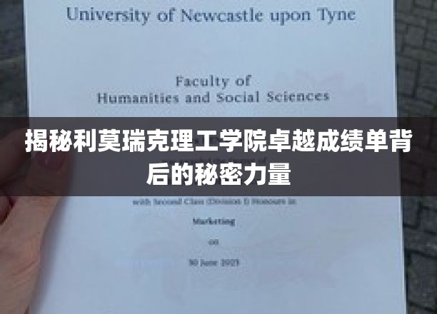 揭秘利莫瑞克理工学院卓越成绩单背后的秘密力量